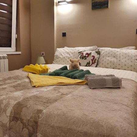 Guest House Jasmin Niska Banja Εξωτερικό φωτογραφία