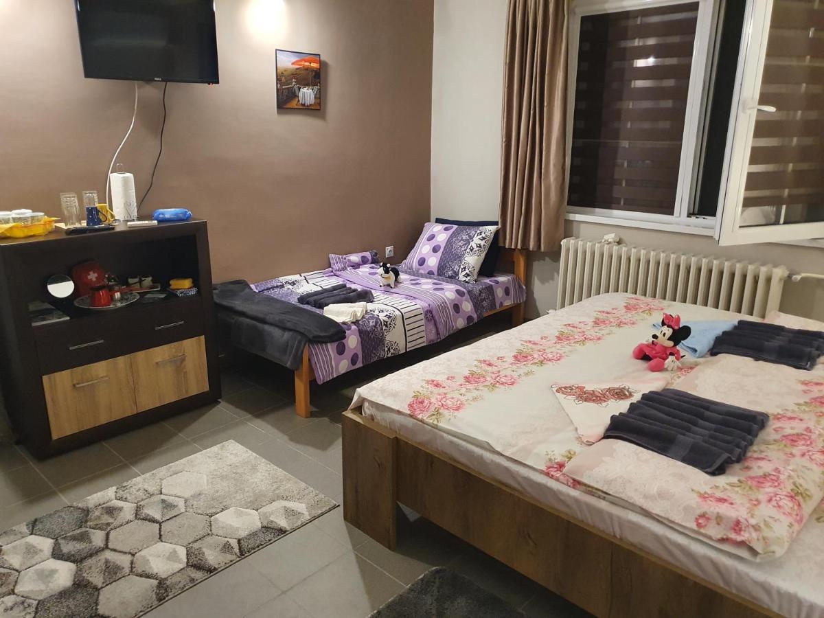 Guest House Jasmin Niska Banja Εξωτερικό φωτογραφία